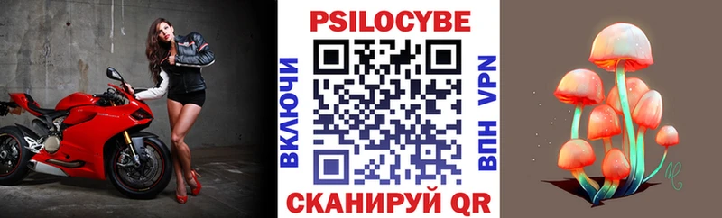 mega онион darknet телеграм Псилоцибиновые грибы Cubensis Озёрск