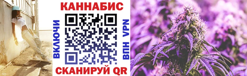 Конопля гибрид  Озёрск 
